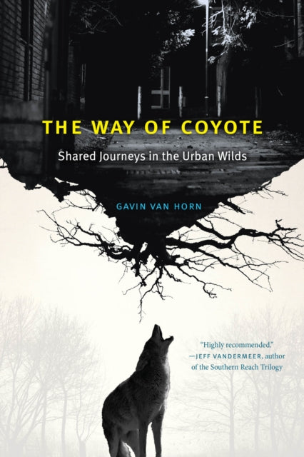 Book cover of: Way of Coyote