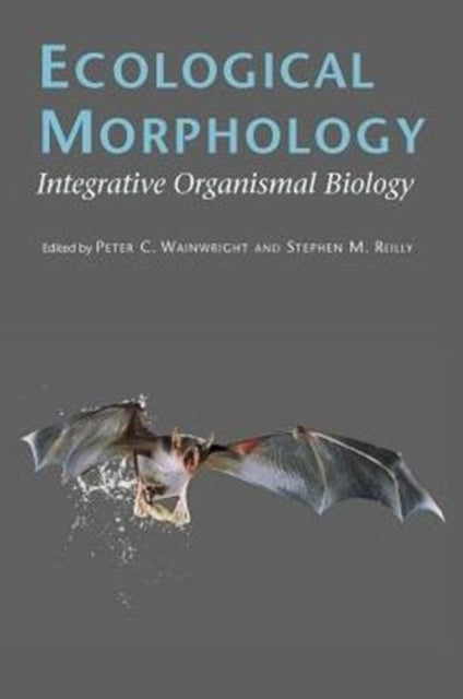 Book cover of: Ecological Morphology