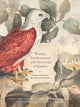 Book cover of: Women, Environment, and Networks of Empire. By: Anna Winterbottom