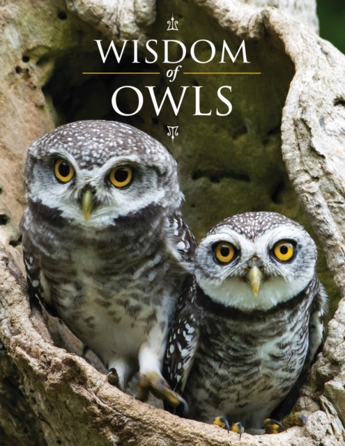 Book cover of: Wisdom of Owls. By: Lisa Purcell