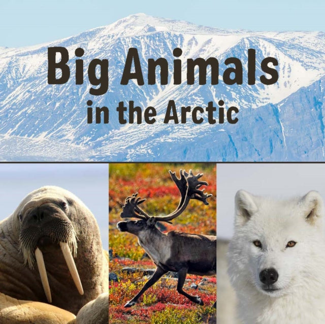 Book cover of: Big Animals in the Arctic. By: Inhabit Education