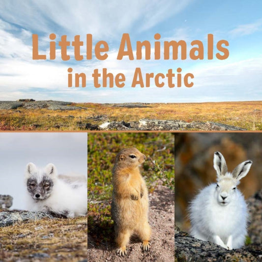 Book cover of: Little Animals in the Arctic. By: Inhabit Education