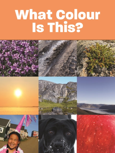 Book cover of: What Colour Is This?. By: Inhabit Education