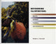 Book cover of: Refiguring the Spiritual. By: Søren Kierkegaard