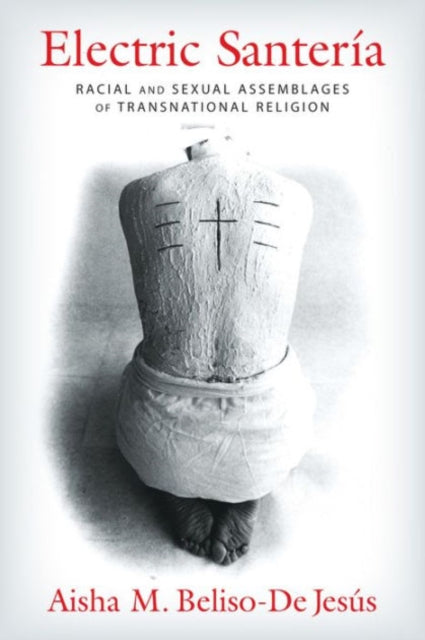 Book cover of: Electric Santeria. By: Aisha M. Beliso-De Jesús