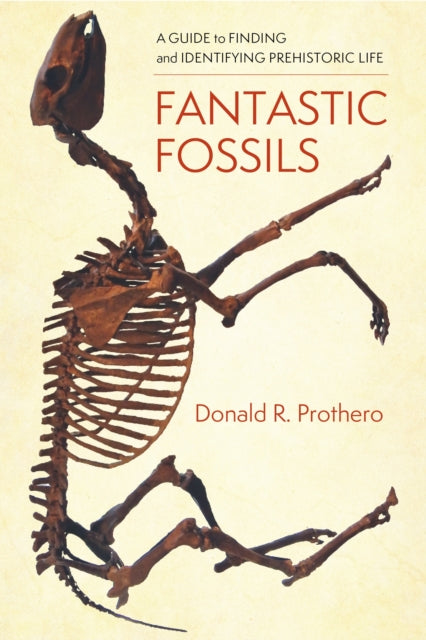 Book cover of: Fantastic Fossils. By: Donald R. Prothero