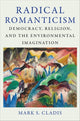 Book cover of: Radical Romanticism
