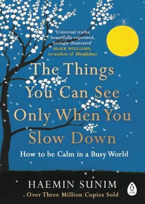 Things You Can See Only When You Slow Down, How to be Calm in a Busy World