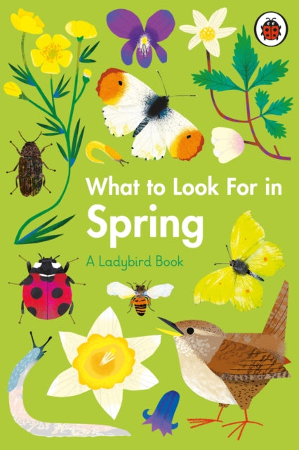 What to Look For in Spring 9780241416181 Elizabeth Jenner
