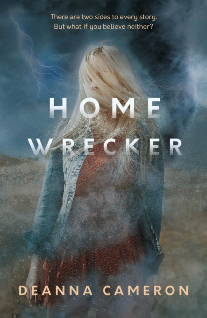 Book cover of: Homewrecker. By: DeAnna Cameron