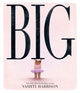 Book cover of: Big. By: Vashti Harrison