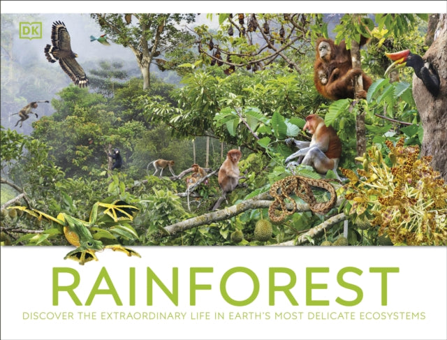 Rainforest 9780241716427 DK Publishing