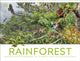 Rainforest 9780241716427 DK Publishing