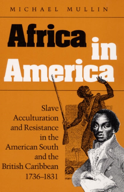 Book cover of: Africa in America. By: Michael Mullin