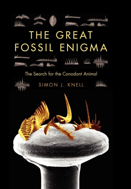 Book cover of: Great Fossil Enigma. By: Simon J. Knell
