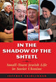 Book cover of: In the Shadow of the Shtetl. By: Jeffrey Veidlinger