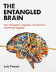 Book cover of: Entangled Brain. By: Luiz Pessoa