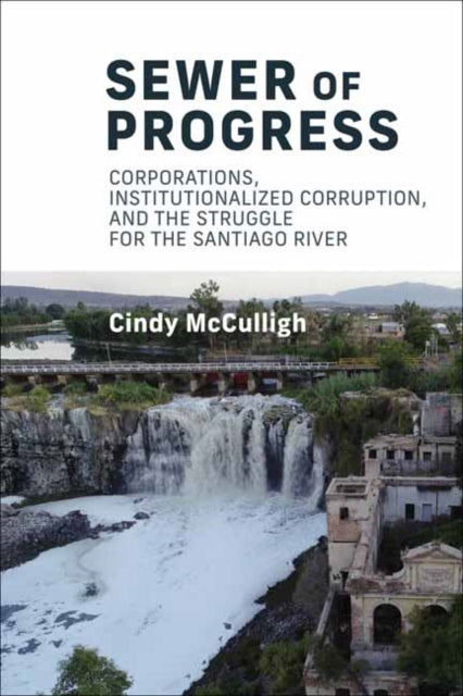 Book cover of: Sewer of Progress. By: Cindy McCulligh