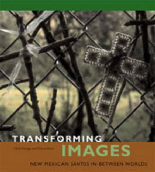 Book cover of: Transforming Images