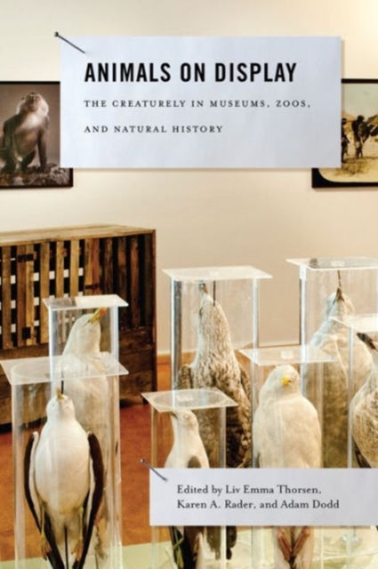 Book cover of: Animals on Display. By: Liv Emma Thorsen