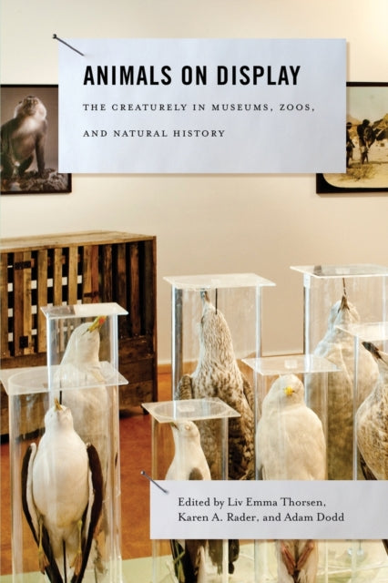 Book cover of: Animals on Display. By: Liv Emma Thorsen