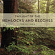 Book cover of: Twilight of the Hemlocks and Beeches. By: Tim Palmer