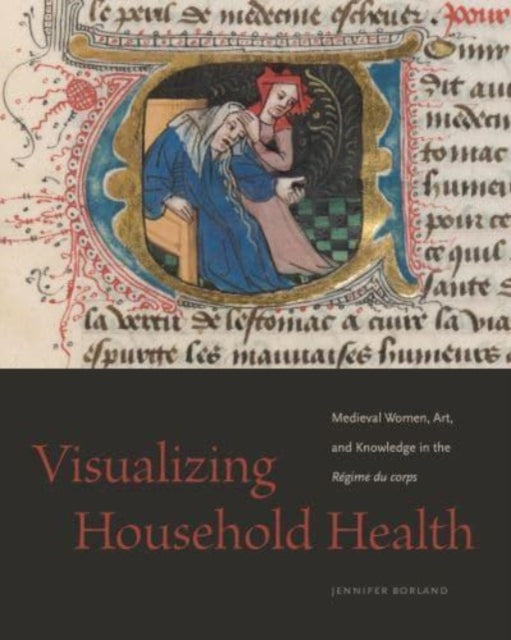 Book cover of: Visualizing Household Health. By: Jennifer Borland