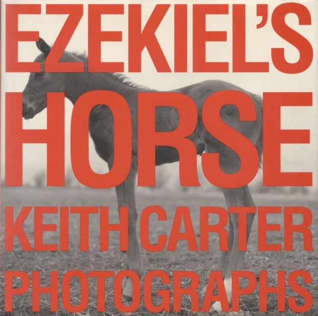 Book cover of: Ezekiel's Horse. By: Keith Carter