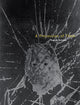 Book cover of: Procession of Them. By: Eugene Richards