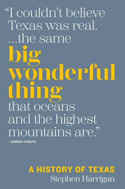 Book cover of: Big Wonderful Thing. By: Stephen Harrigan
