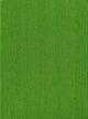 Book cover of: Volume 1Vascular Plants of the Pacific Northwest. By: Hitchcock, Charles Leo