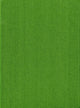 Book cover of: Volume 5Vascular Plants of the Pacific Northwest. By: Leo C. Hitchcock