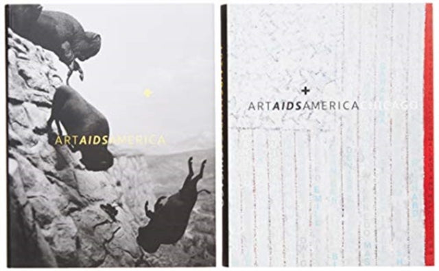 Book cover of: Art AIDS America / Art AIDS America Chicago Boxed Set. By: Jonathan D. Katz