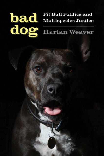 Book cover of: Bad Dog. By: Harlan Weaver