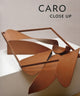 Book cover of: Caro. By: Julius Bryant