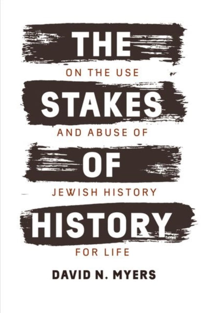 Book cover of: Stakes of History. By: David N. Myers
