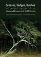 Book cover of: Grasses, Sedges, Rushes. By: Lauren Brown