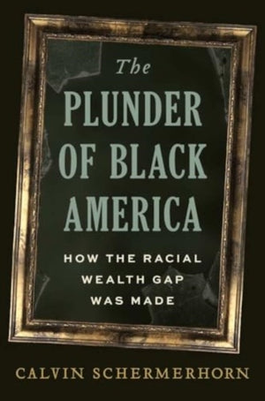 The Plunder of Black America