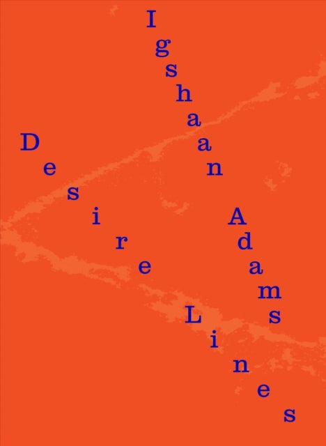 Book cover of: Igshaan Adams. By: Hendrik Folkerts