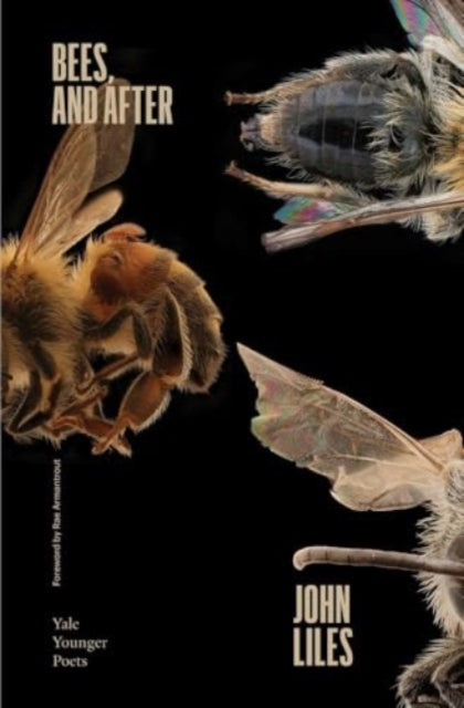 Bees, and After 9780300279412 John Liles