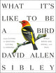 What It's Like to be a Bird