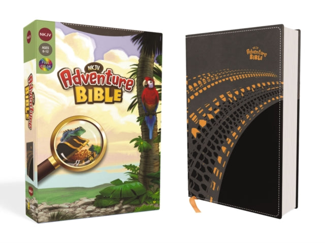 Book cover of: NKJV, Adventure Bible, Leathersoft, Gray, Full Color. By: Lawrence O. Richards