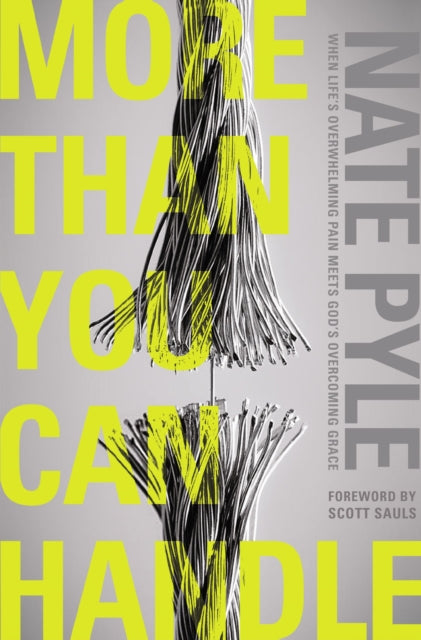 Book cover of: More Than You Can Handle. By: Nate Pyle