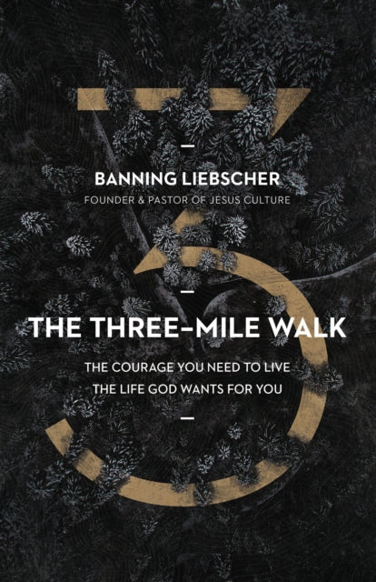 Book cover of: Three-Mile Walk. By: Banning Liebscher