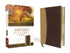 Book cover of: Amplified Holy Bible, Compact, Leathersoft, Tan/Burgundy