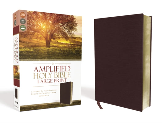 Book cover of: Amplified Holy Bible, Large Print, Bonded Leather, Burgundy