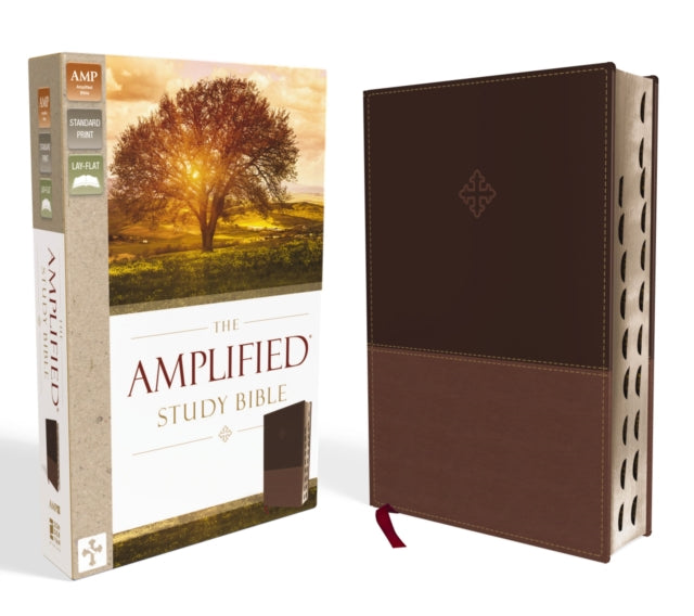 Book cover of: Amplified Study Bible, Leathersoft, Brown, Thumb Indexed