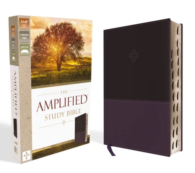 Book cover of: Amplified Study Bible, Leathersoft, Purple, Thumb Indexed