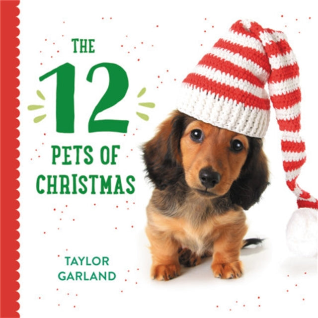 Book cover of: Twelve Pets of Christmas. By: Taylor Garland