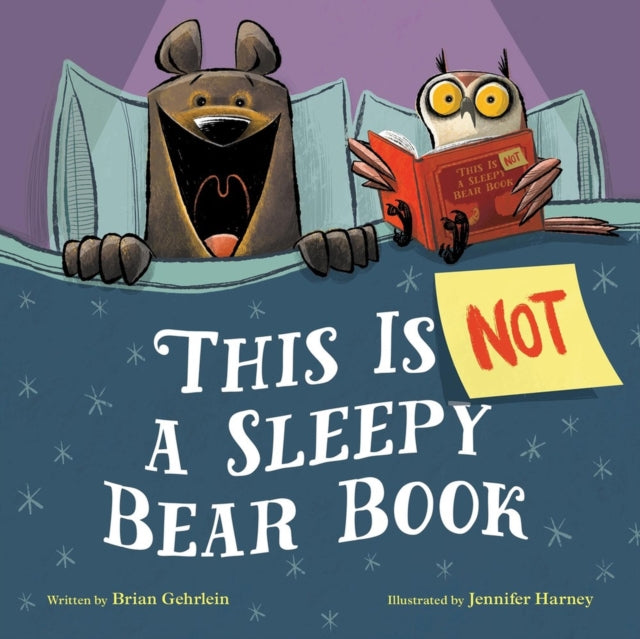 Book cover of: This Is Not a Sleepy Bear Book